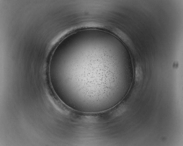 X0000113640436200910021920