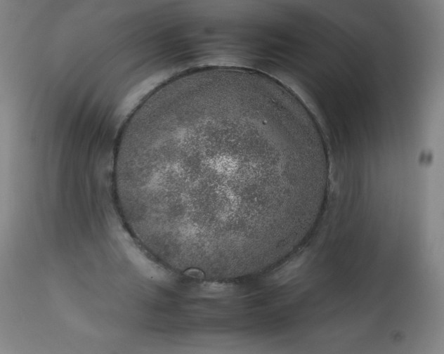 X0000113640437200910021920