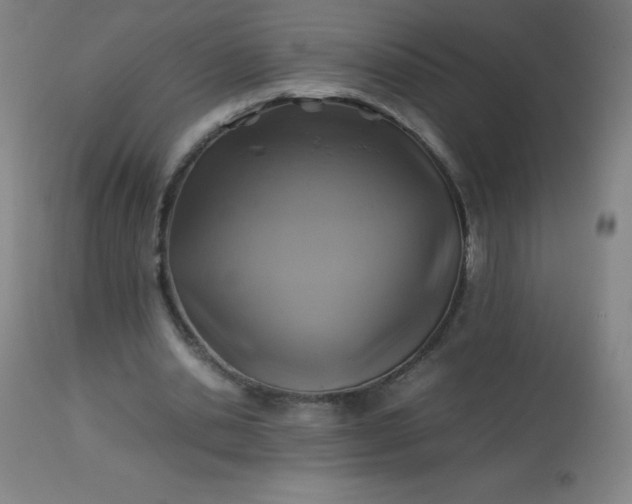 X0000113640438200910021920