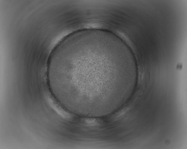 X0000113640439200910021920