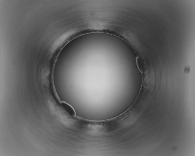 X0000113640440200910021920