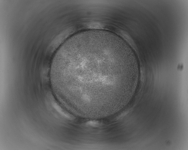 X0000113640441200910021920