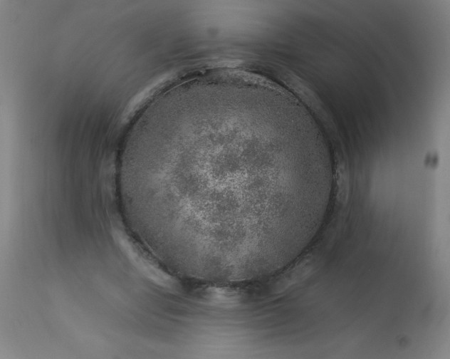 X0000113640442200910021920