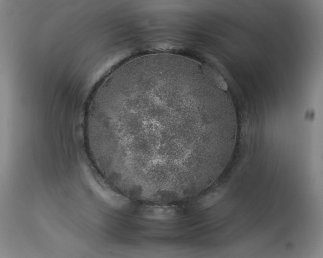 X0000113640443200910021920