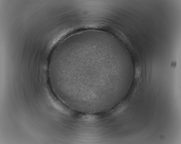 X0000113640444200910021920