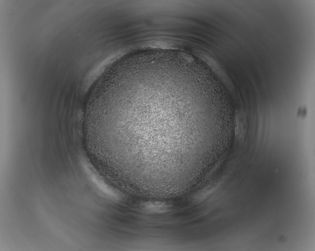 X0000113640445200910021920