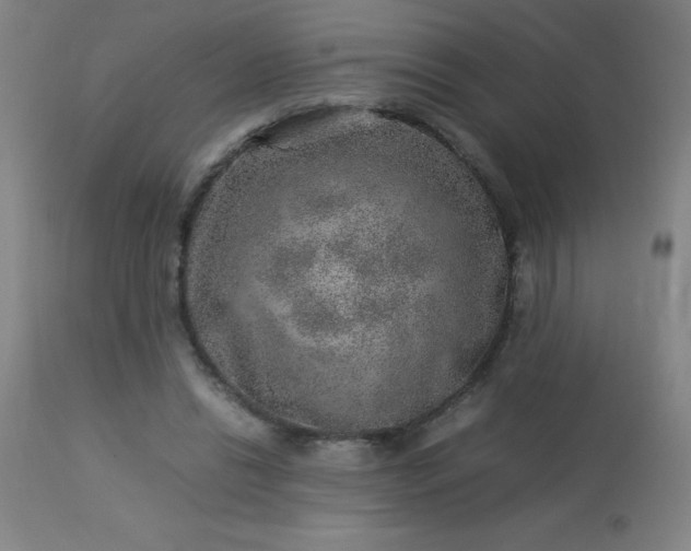 X0000113640446200910021920