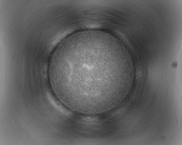 X0000113640447200910021920