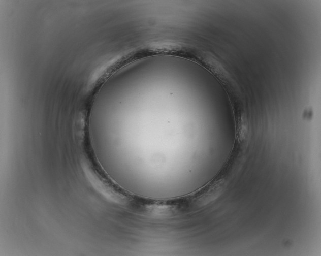 X0000113640448200910021920