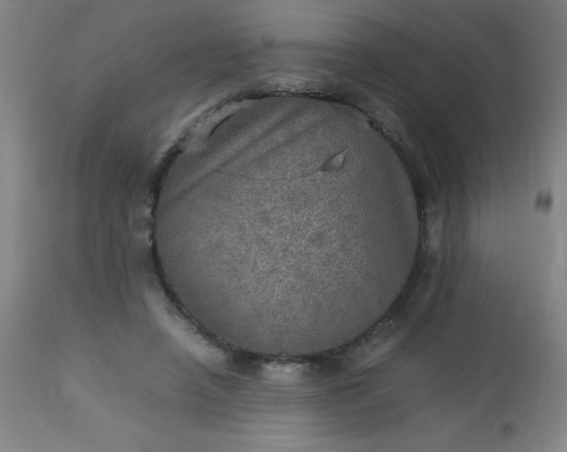 X0000113640450200910021920