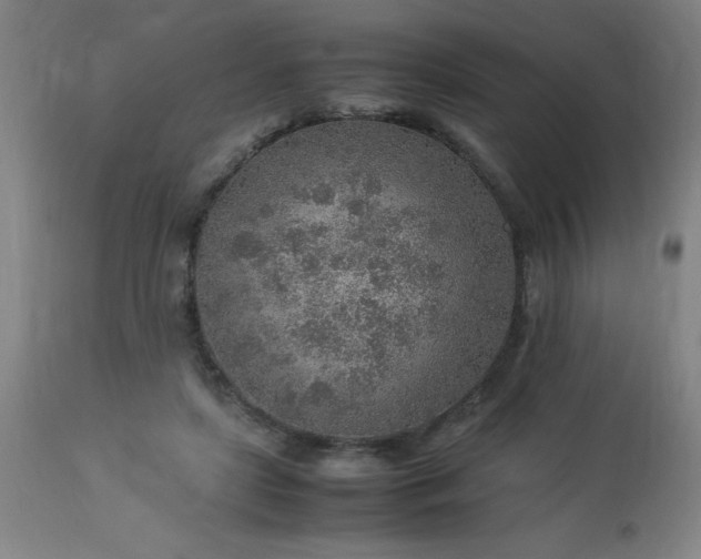 X0000113640451200910021920