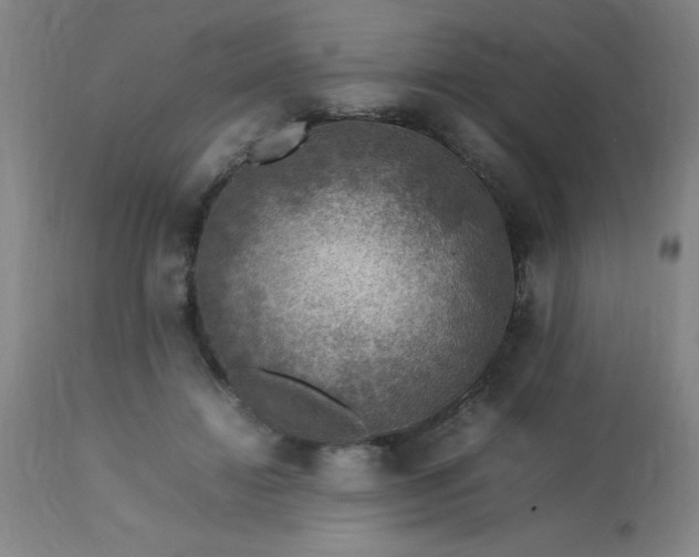 X0000113640452200910021920