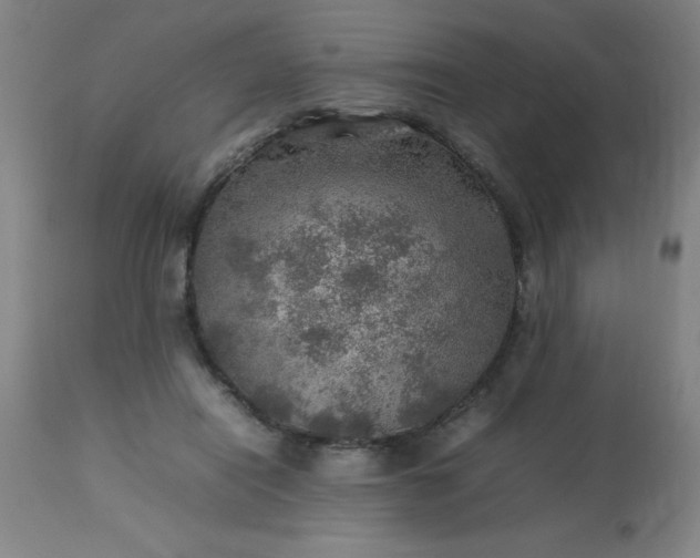 X0000113640454200910021920