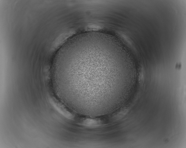 X0000113640455200910021920