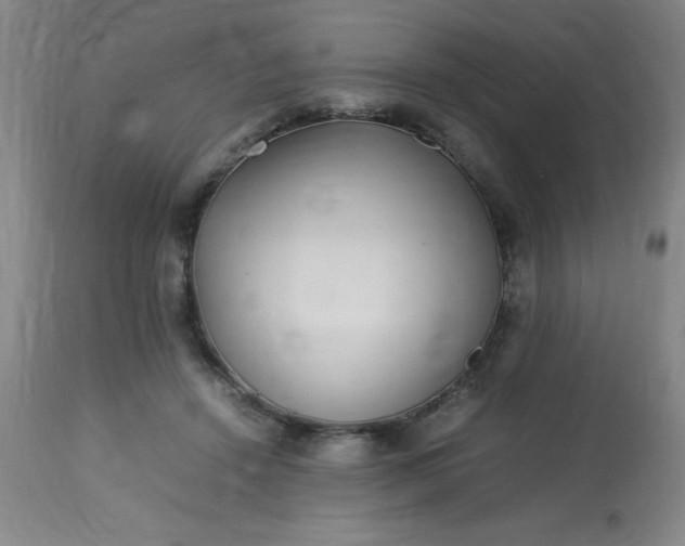 X0000113640456200910021920