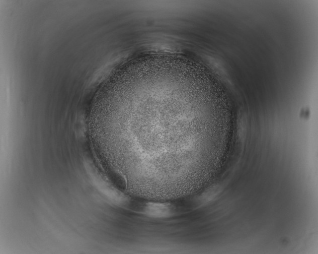 X0000113640457200910021920