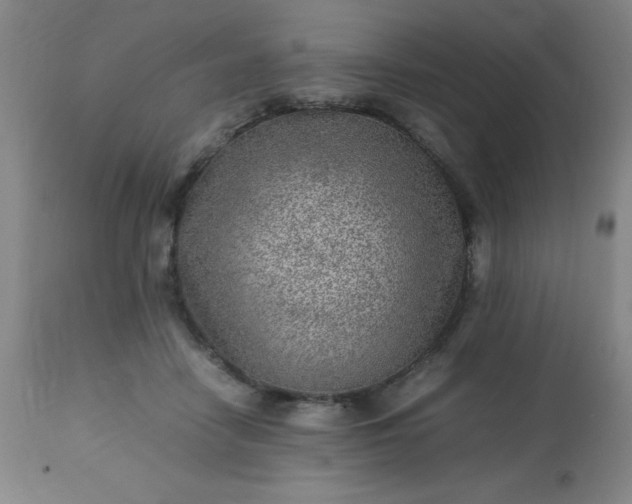 X0000113640458200910021920