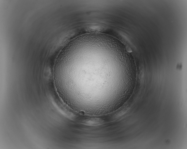 X0000113640459200910021920