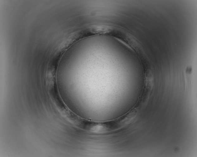 X0000113640460200910021920