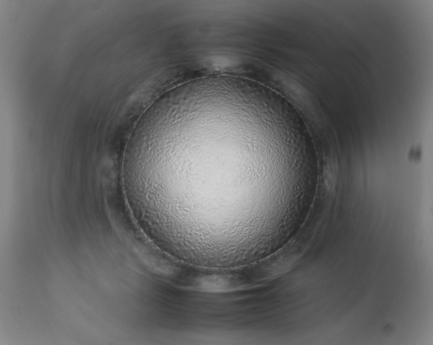 X0000113640461200910021920