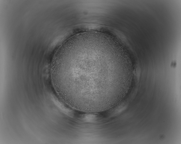 X0000113640462200910021920