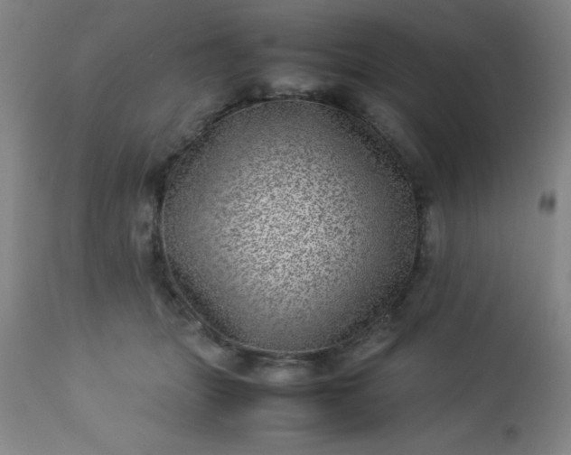 X0000113640463200910021920