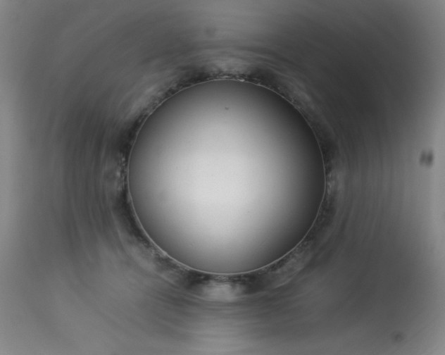 X0000113640464200910021920