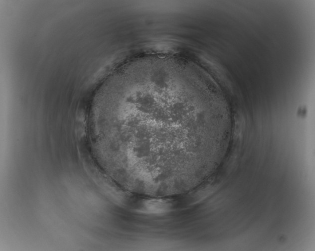 X0000113640465200910021920