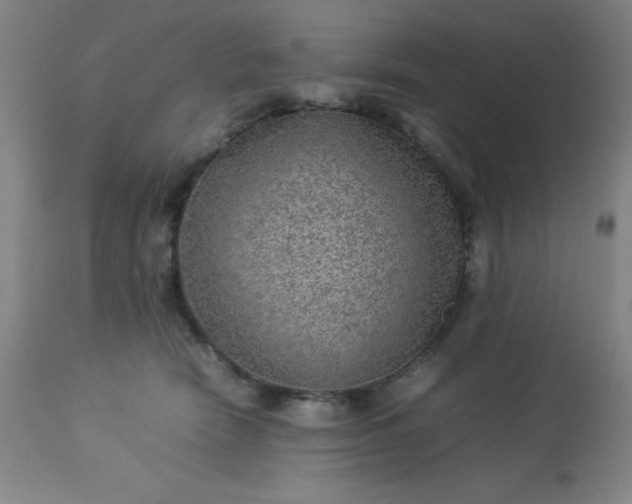 X0000113640466200910021920