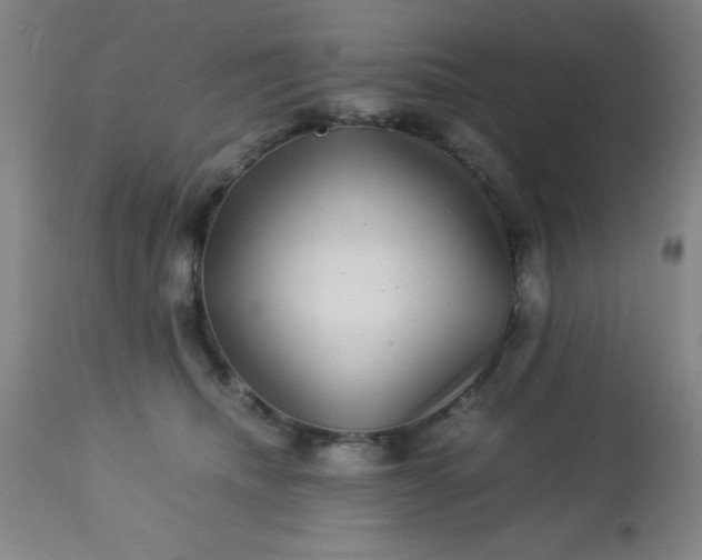 X0000113640468200910021920