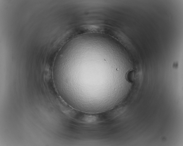 X0000113640469200910021920