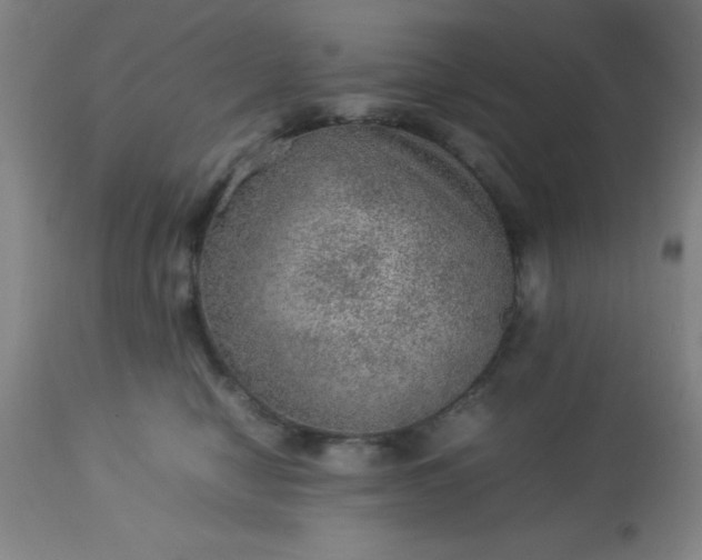 X0000113640470200910021920