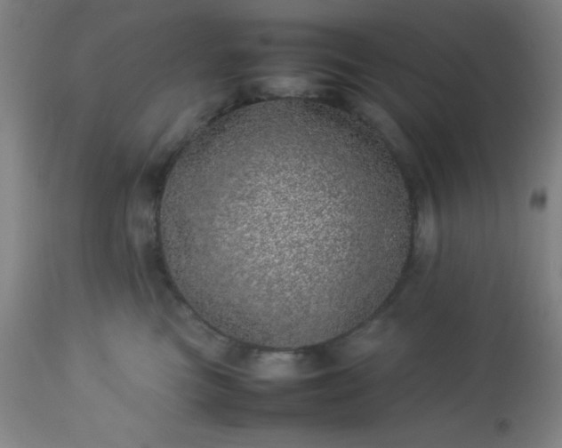 X0000113640473200910021920