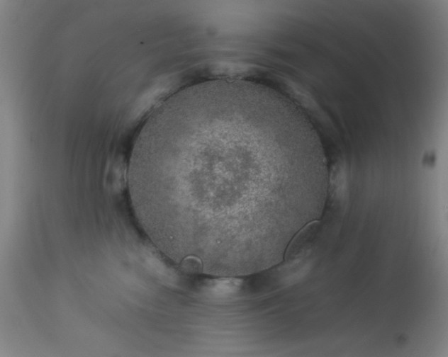 X0000113640474200910021920