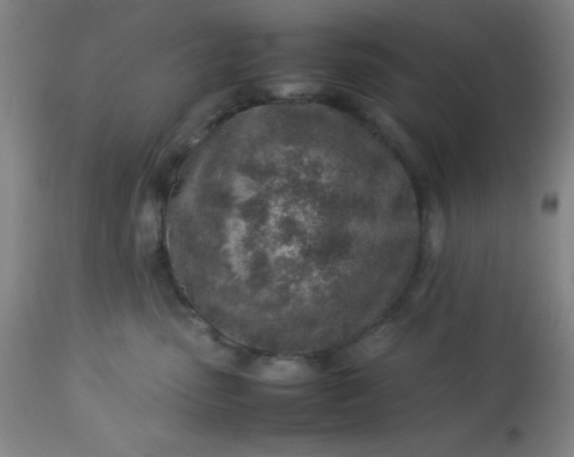 X0000113640475200910021920