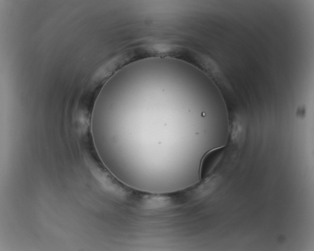 X0000113640476200910021920