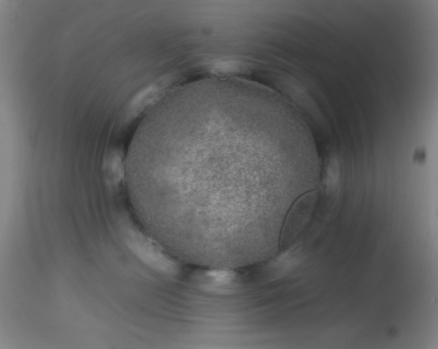 X0000113640478200910021920