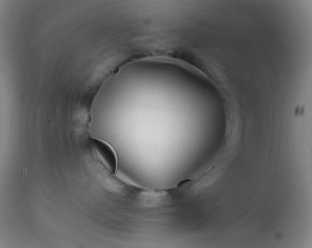 X0000113640480200910021921