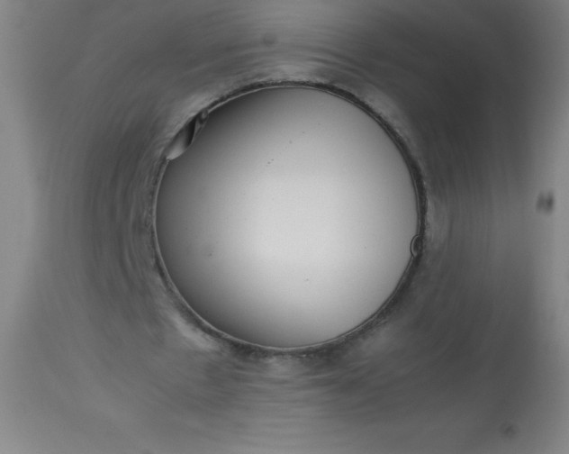 X0000113640481200910021920