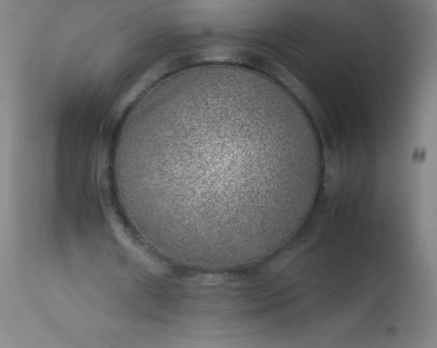 X0000113640482200910021920