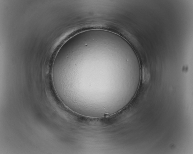 X0000113640483200910021920