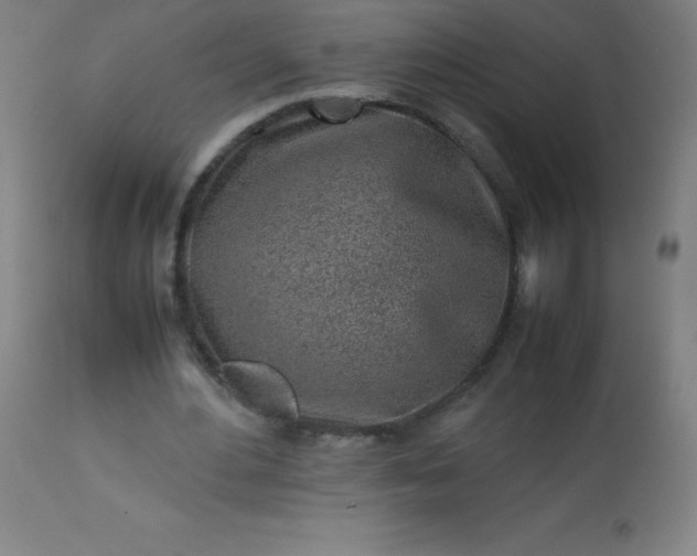 X0000113640484200910021920