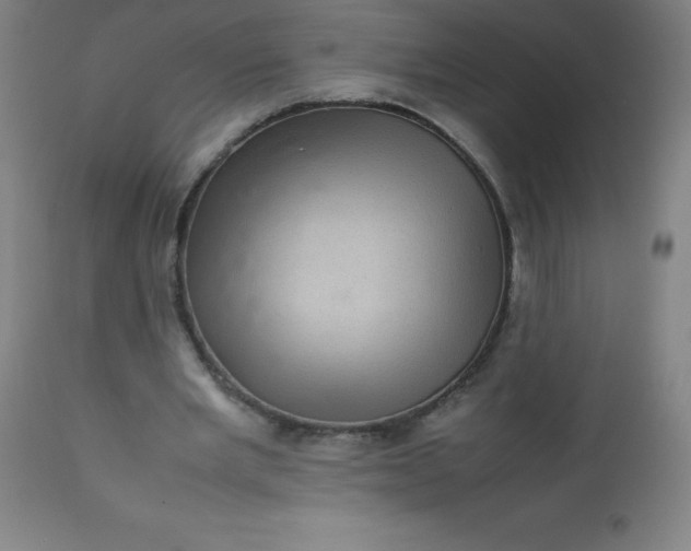 X0000113640485200910021920