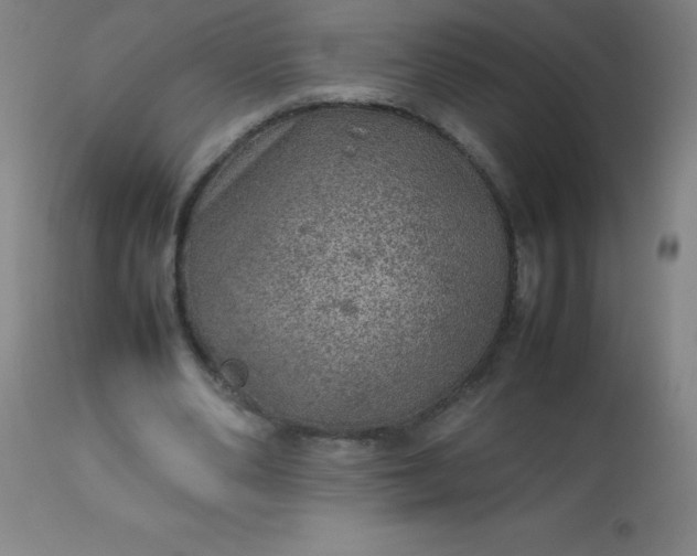 X0000113640486200910021920