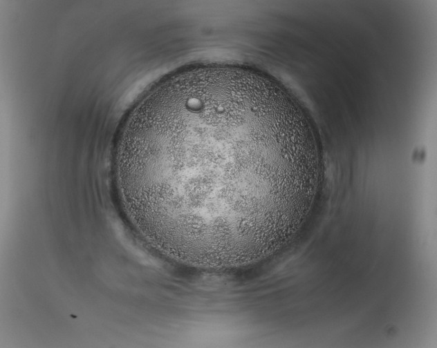 X0000113640487200910021920