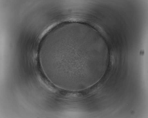 X0000113640488200910021920