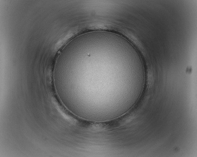 X0000113640489200910021920