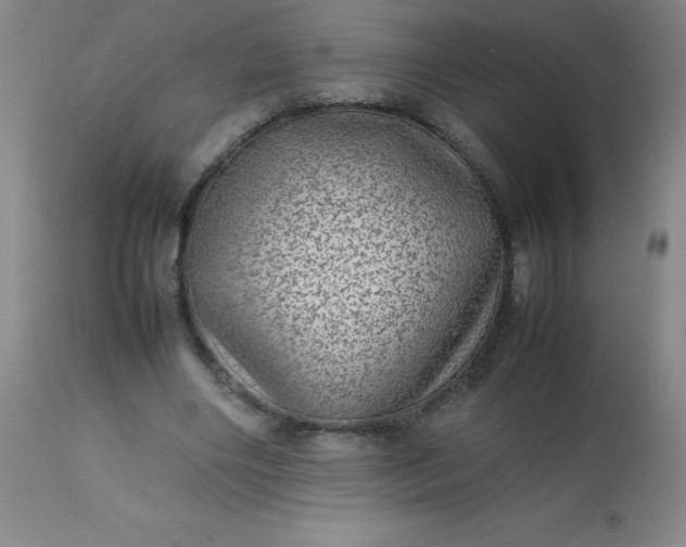 X0000113640490200910021920