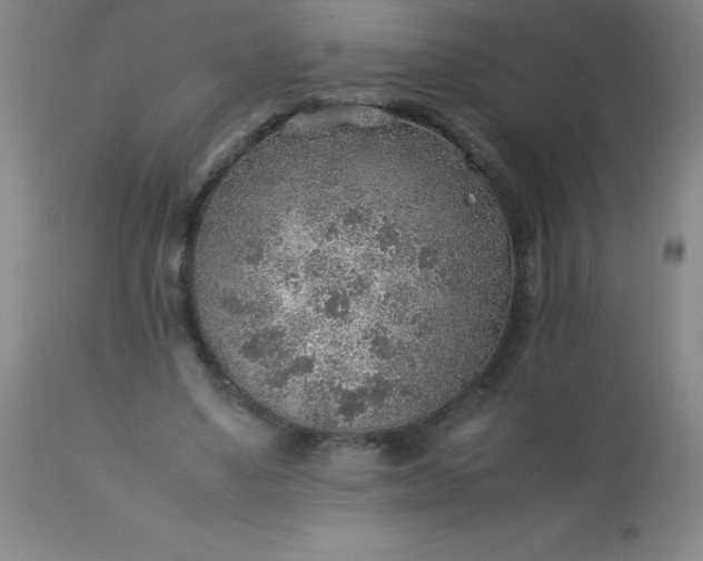 X0000113640491200910021920