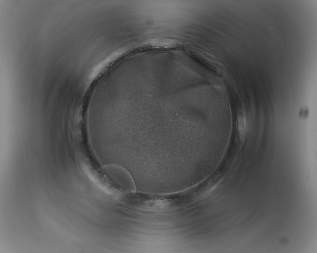 X0000113640492200910021920